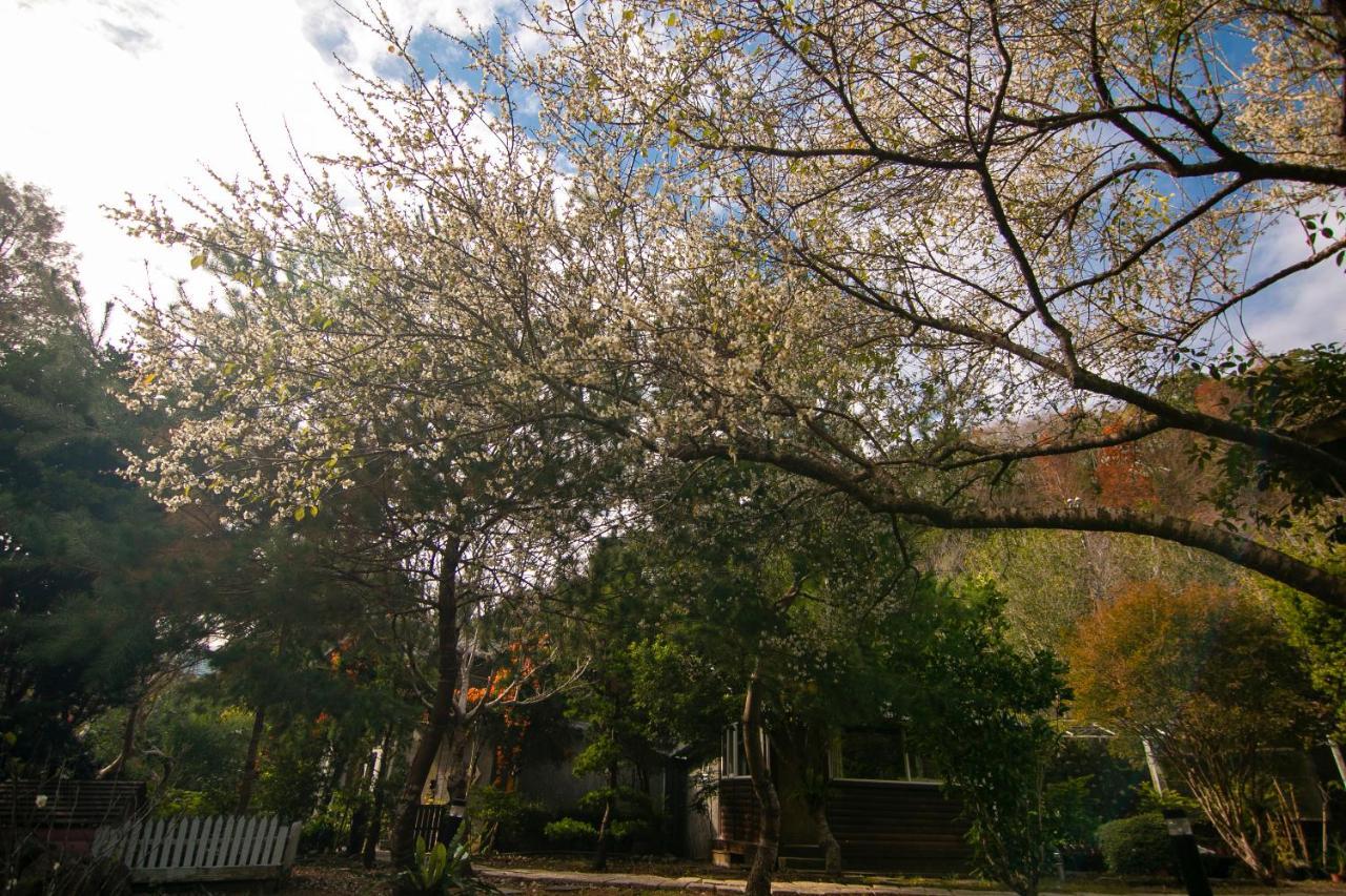 Apartament Tomi House Hengshan Zewnętrze zdjęcie